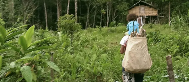 Belum ada Jaminan Keamanan, Warga Distrik Aifat Timur Jauh Masih Memilih Mengungsi
