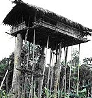 Nsaka Tabam, Sikowah Ma