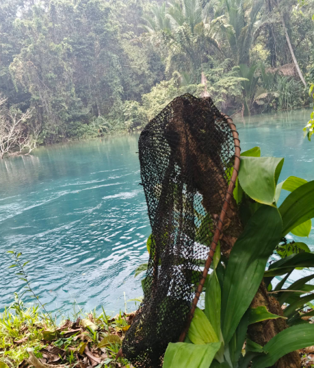Menelusuri Keindahan Kali Ibiah: Surga Tersembunyi di Hutan Maybrat